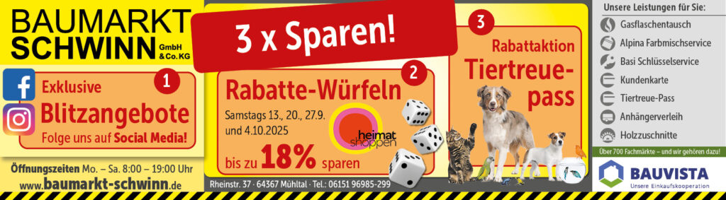 Schwinn-Baumarkt-Titel-MueMo